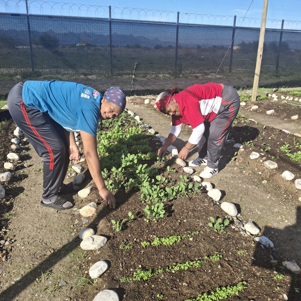 community-gardeners