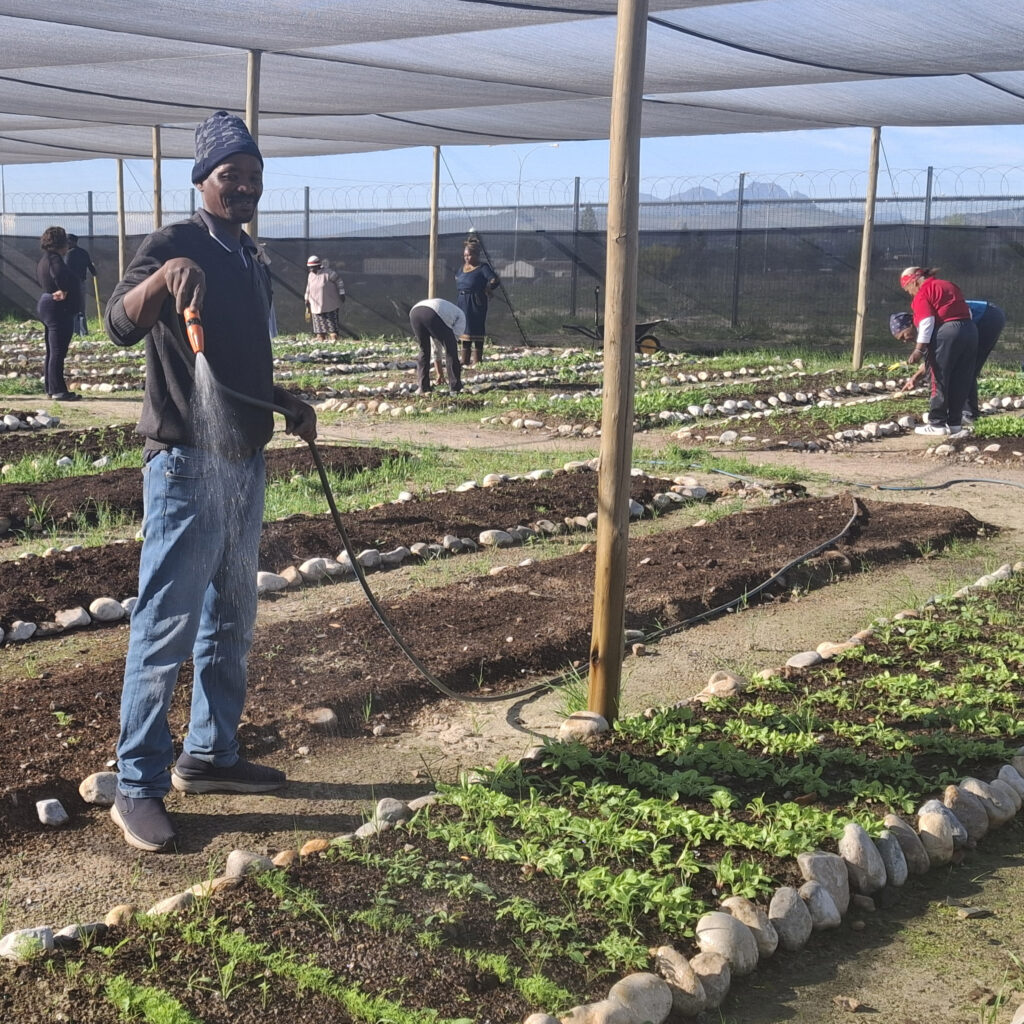 hope-community-garden2